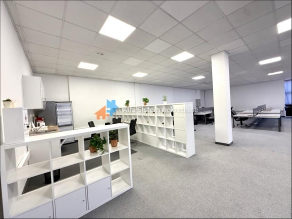 Izdavanje: Poslovni prostor 230 m², Novi Beograd – Beograd