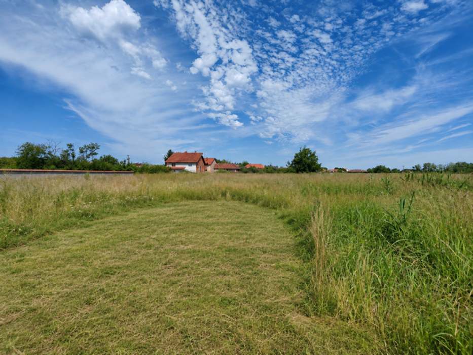 Prodaja: Plac 3.000 m² – Požarevac