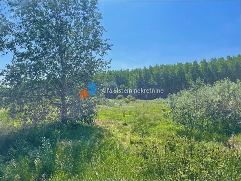 Prodaja: Plac 3.700 m², Palilula – Beograd