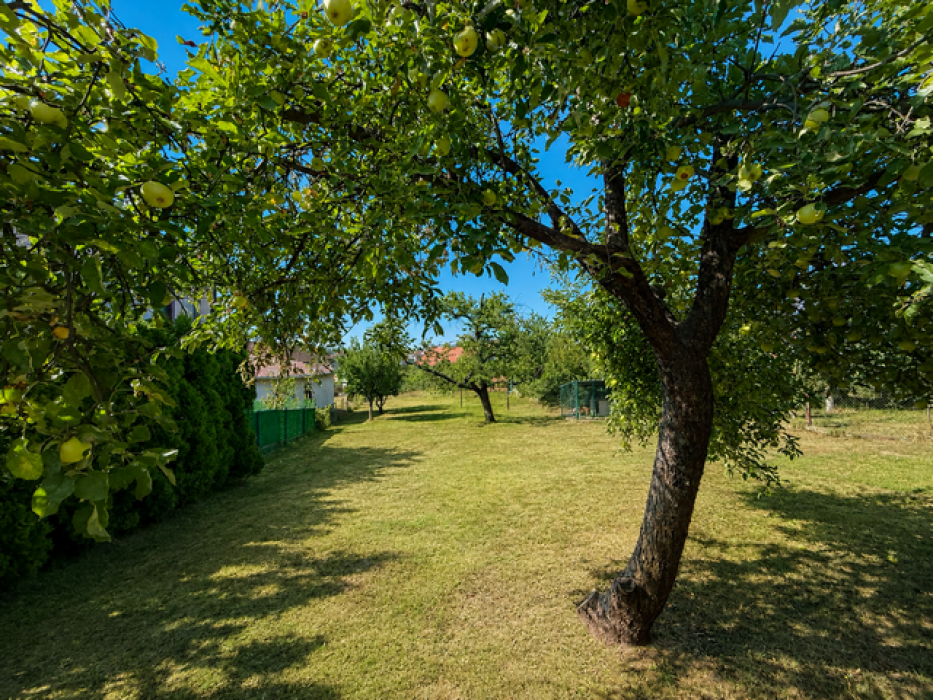 Prodaja: Kuća 220 m², Zvezdara – Beograd