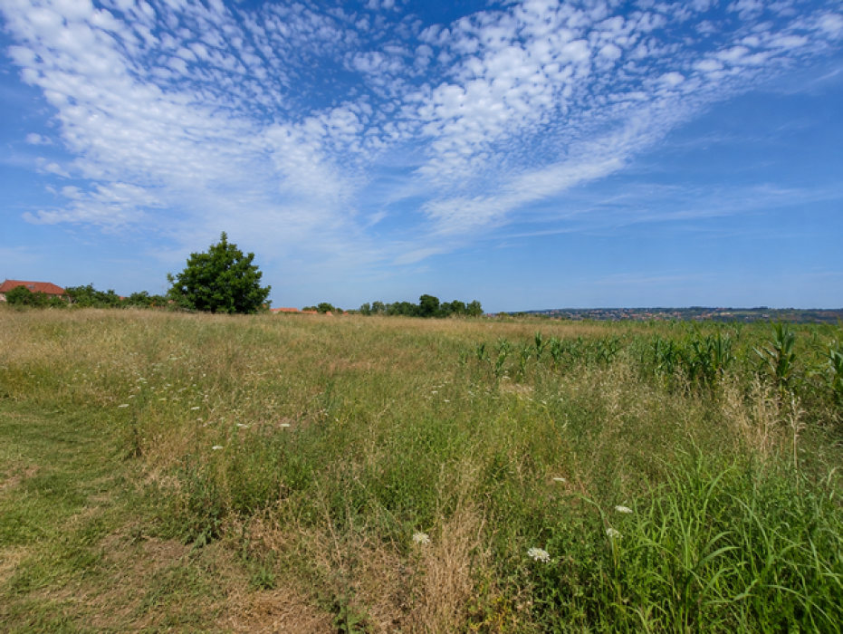 Prodaja: Plac 3.000 m² – Požarevac