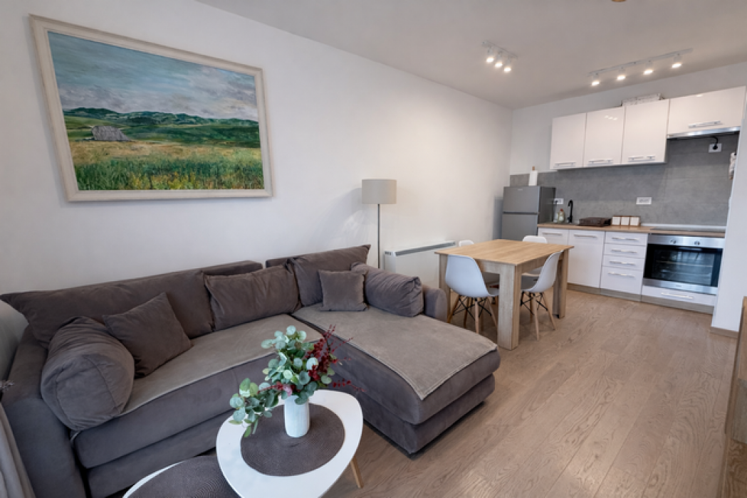 Prodaja: Jednoiposoban stan 39 m² – Zlatibor