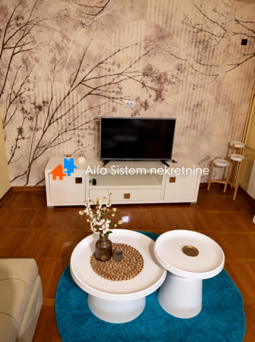 Izdavanje: Dvosoban stan 75 m², Vračar – Beograd