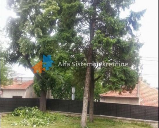 Izdavanje: Kuća 170 m², Savski venac – Beograd